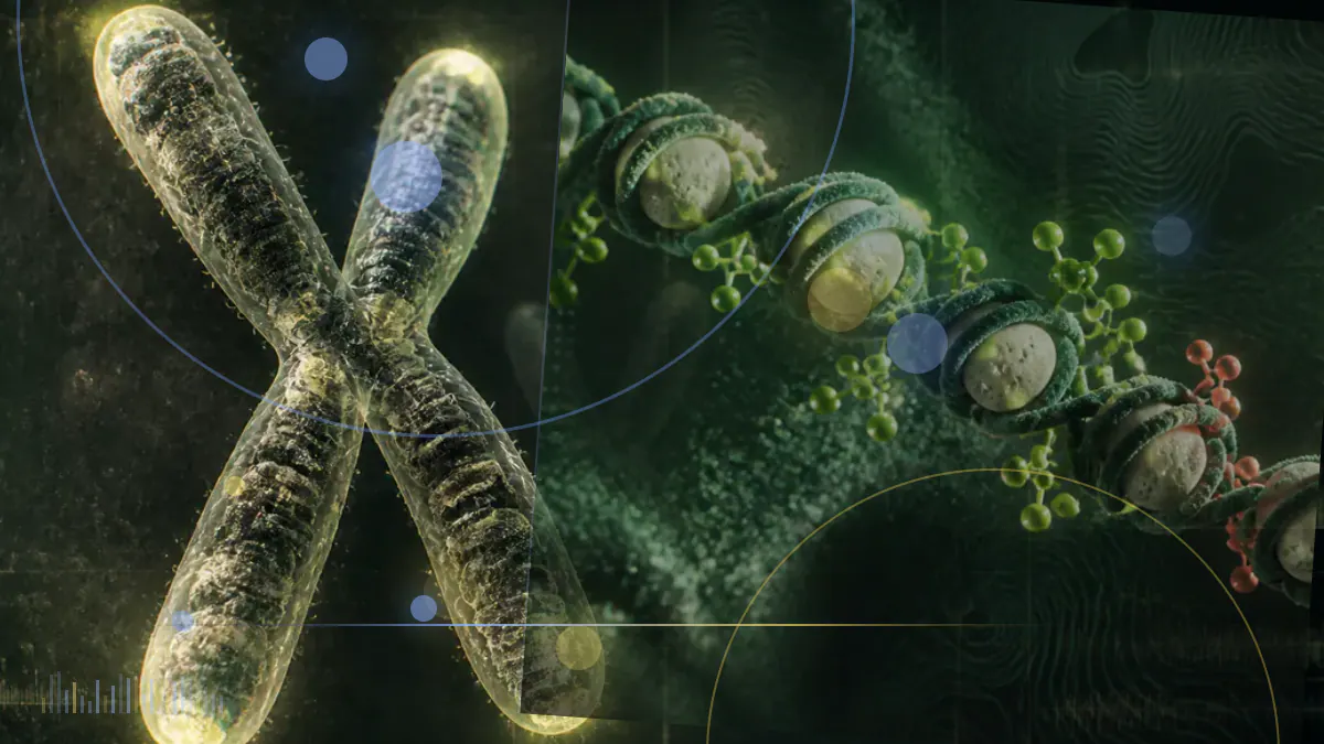Conceptual medical-journal illustration accompanying Roles of microRNA in aging and dietary restriction-induced longevity