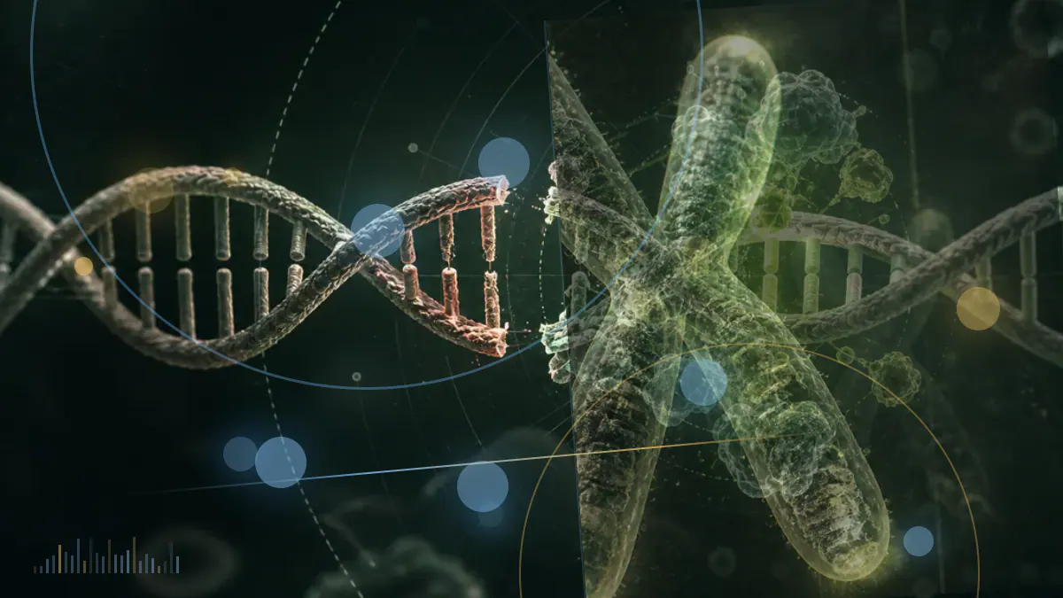 Conceptual biomedical illustration of molecular signals across cells and tissues being investigated as indicators of aging rate.