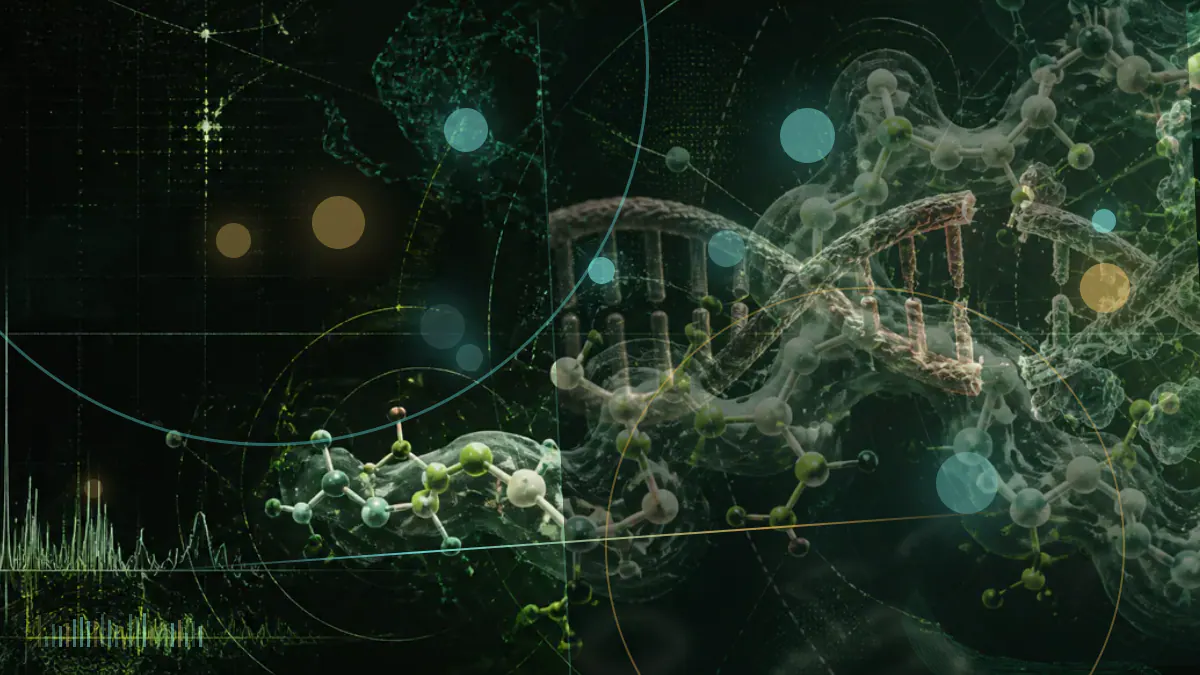 Conceptual illustration of peptide signaling between connected neurons involved in appetite regulation, not an experimental brain image.