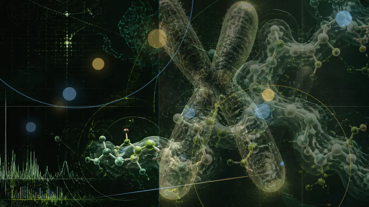 Conceptual biomedical illustration of a macrophage near senescent cells, with lysosomal protein recycling represented inside the immune cell; not experimental microscopy.