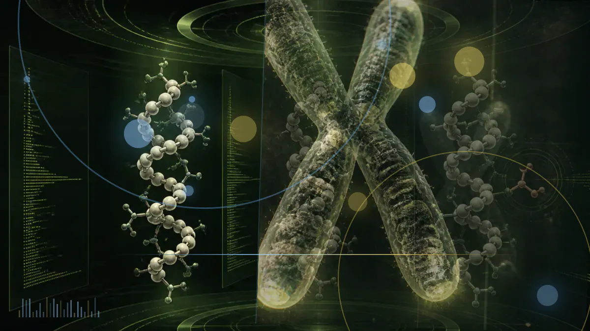 Conceptual biomedical illustration of an antibody interacting with a growth hormone receptor on a cell surface